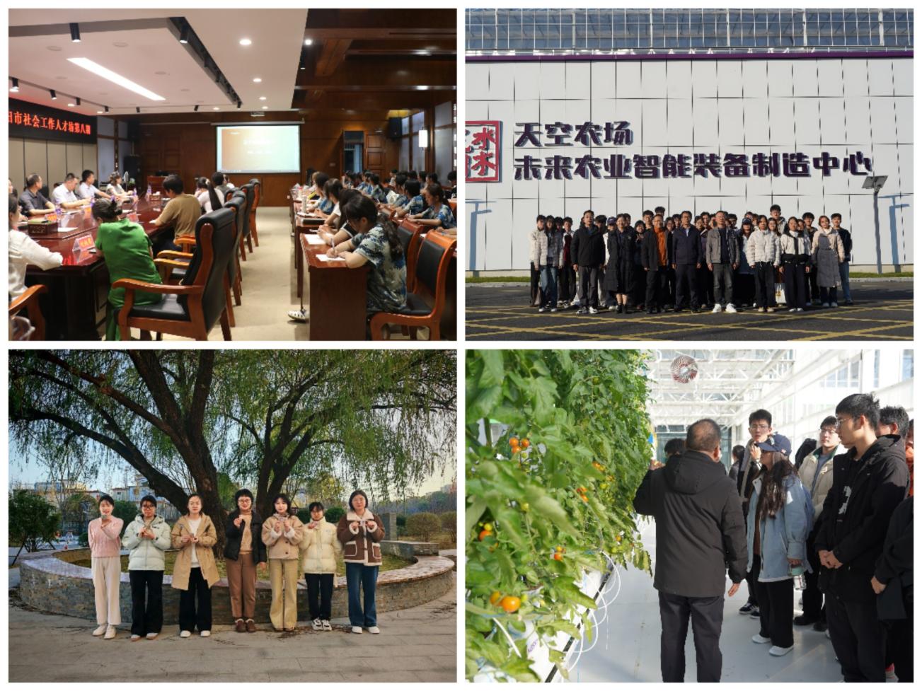 crown中国官方网站